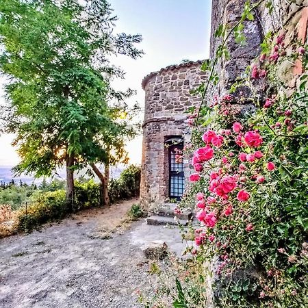 Historic 14Th Century Palazzo Apartments Sarteano Buitenkant foto