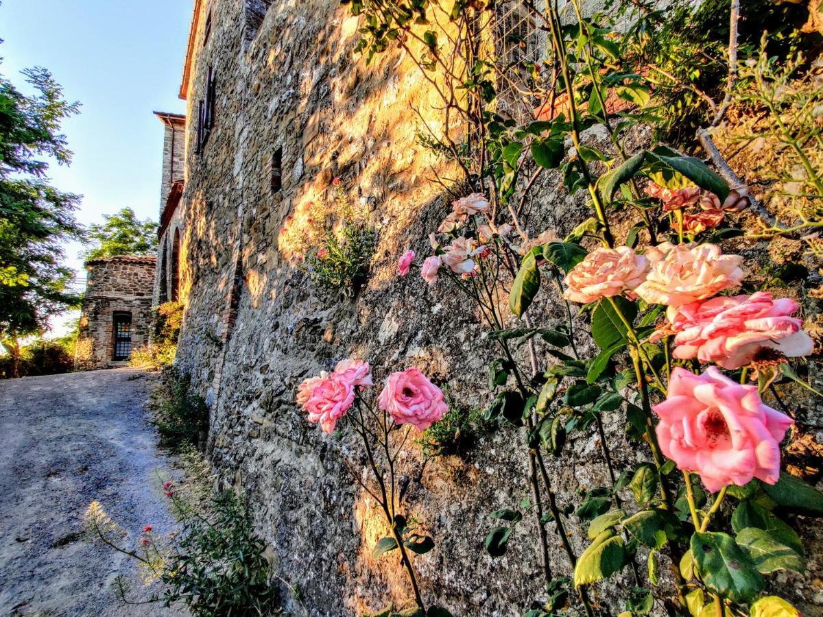 Historic 14Th Century Palazzo Apartments Sarteano Buitenkant foto